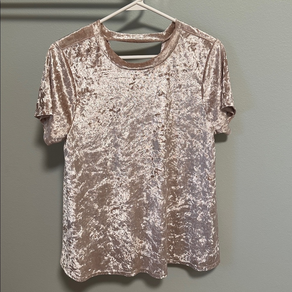 Velvet Short Sleeve Top in Shimmering Beige